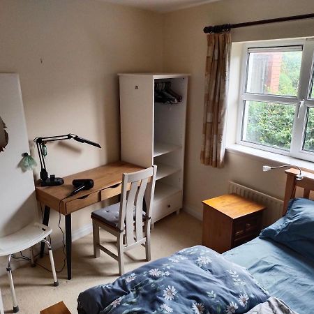 Crescent Apartments Homestay Корк Экстерьер фото