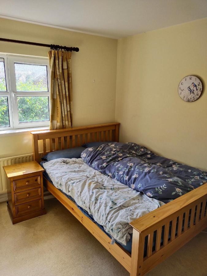 Crescent Apartments Homestay Корк Экстерьер фото